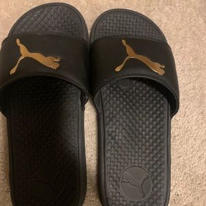 Puma slides